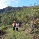 탑선마을 이미지