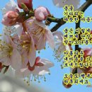 이*미 - 안양시 동안구 관악대로373번길 | 이*미