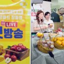 사과집 이미지