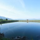 잔듸민박 이미지