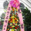 여주-0203 이미지