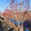 문기농장 이미지