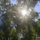 제주서프하우스 이미지