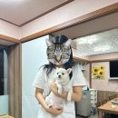 진 짜글이 마을 이미지