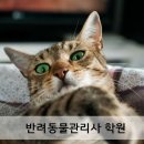 반려동물관리사 이미지
