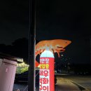 불타는새우석화