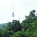 일편단심