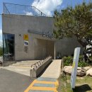 2020-477 | 경주 대형카페 현곡 커피명가 보스케 몽블랑 빵 맛집
