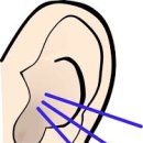 원보청기 청각언어센터 이미지