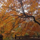 땅콩상회 이미지