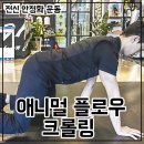 플로우 스트렝스 이미지