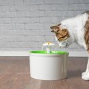 율동물의료센터 이미지