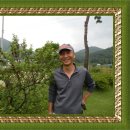 심스캐빈 이미지