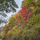 2025.10.18(토)~19(일) 1박2일, 국토횡단 도보여행(만항재~새비재) 36km 이미지