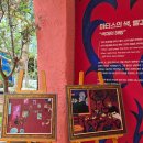 세종 가볼만한 곳, 국립세종수목원 특별기획전 '앙리 마티스가 그린 오색정원' 아이랑 가본 후기