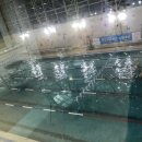 동부스포츠센터 수영장 이미지