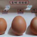 장수하늘소농장 이미지