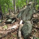 대후보건진료소 이미지