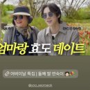 화인메트로병원 | 함께라 더 즐거웠던 일 덕질! 국내여행 옥천 화인산림욕장 당일치기 투어🌿