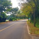 하원동-2 이미지