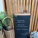 요가타타타