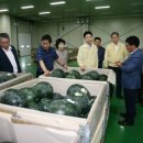 가야농협 산지유통센터 이미지