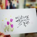 수채화캘리그라피 이미지