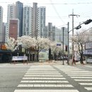 비비큐대구북