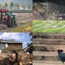 음메소농장 이미지