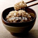 보리밥 이미지