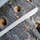 깻잎농원 이미지