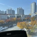 리턴투핏 네이버블로그