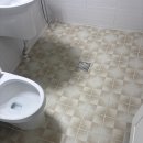 신라아파트 | 🐶[줄눈하는태리] 아산배방 신라아파트 (구축)다녀왔습니다!