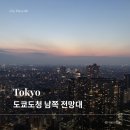 도쿄도청 남측 전망대 후기 | 무료 전망대 노을과 야경 + TOKYO Night &amp; Light 라이트쇼 (웨이팅 시간)