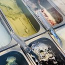 유옥목장 이미지