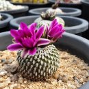 산정농장 이미지