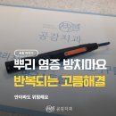 우신치과의원 이미지