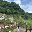 홍천산양목장 이미지