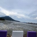 신안행정사사무소 이미지