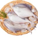 금당면-1 | 6월의 수산물, 어촌여행지, 해양생물, 등대, 무인도서 선정