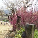 무척산관광농원 이미지