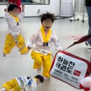 하늘찬 | 가오동 태권도 <하늘찬 태권도> 유치부, 믿고 보내는 엄마의 찐후기