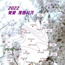 2022 벚꽃 개화 시기 이미지