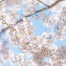 미소한방병원 이미지