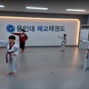 용인대 활기찬 태권도장 이미지