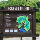 용설3
