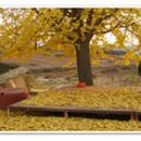 한양농원 이미지