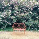 대륜동-2 이미지