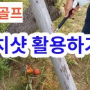 파크골프 펀치샷 으로 러프 탈출 안전망 탈출 방법 트러블 샷으로 레이업하기 이미지