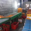 승관농장 이미지